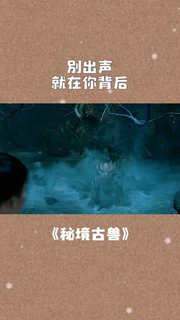 暴走小飞机